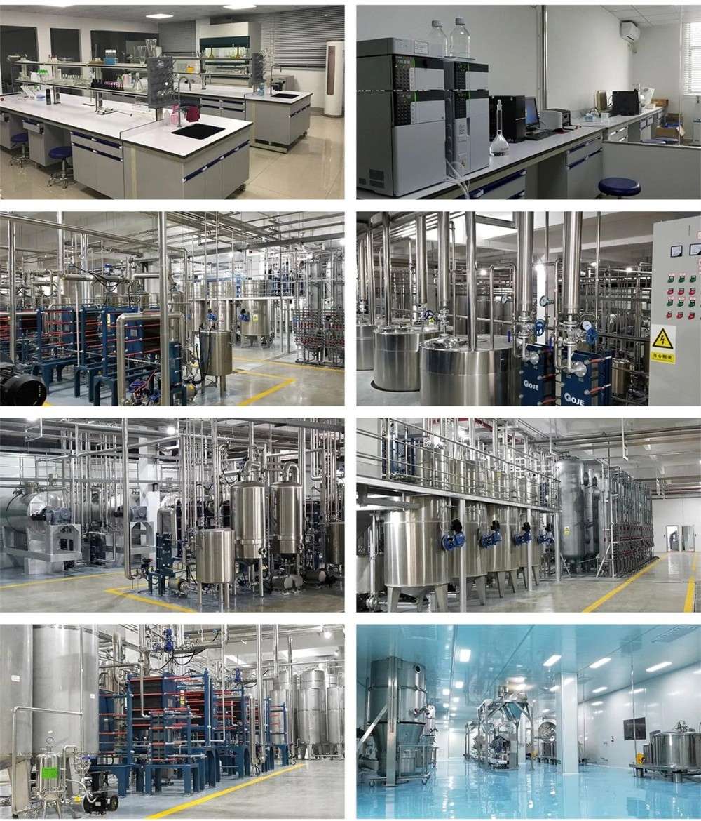 ورشة الإنتاج