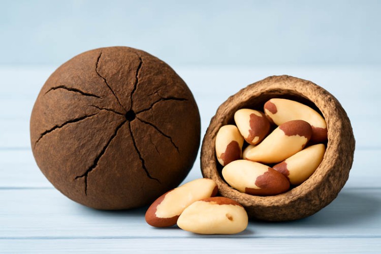 جوز برازيلي